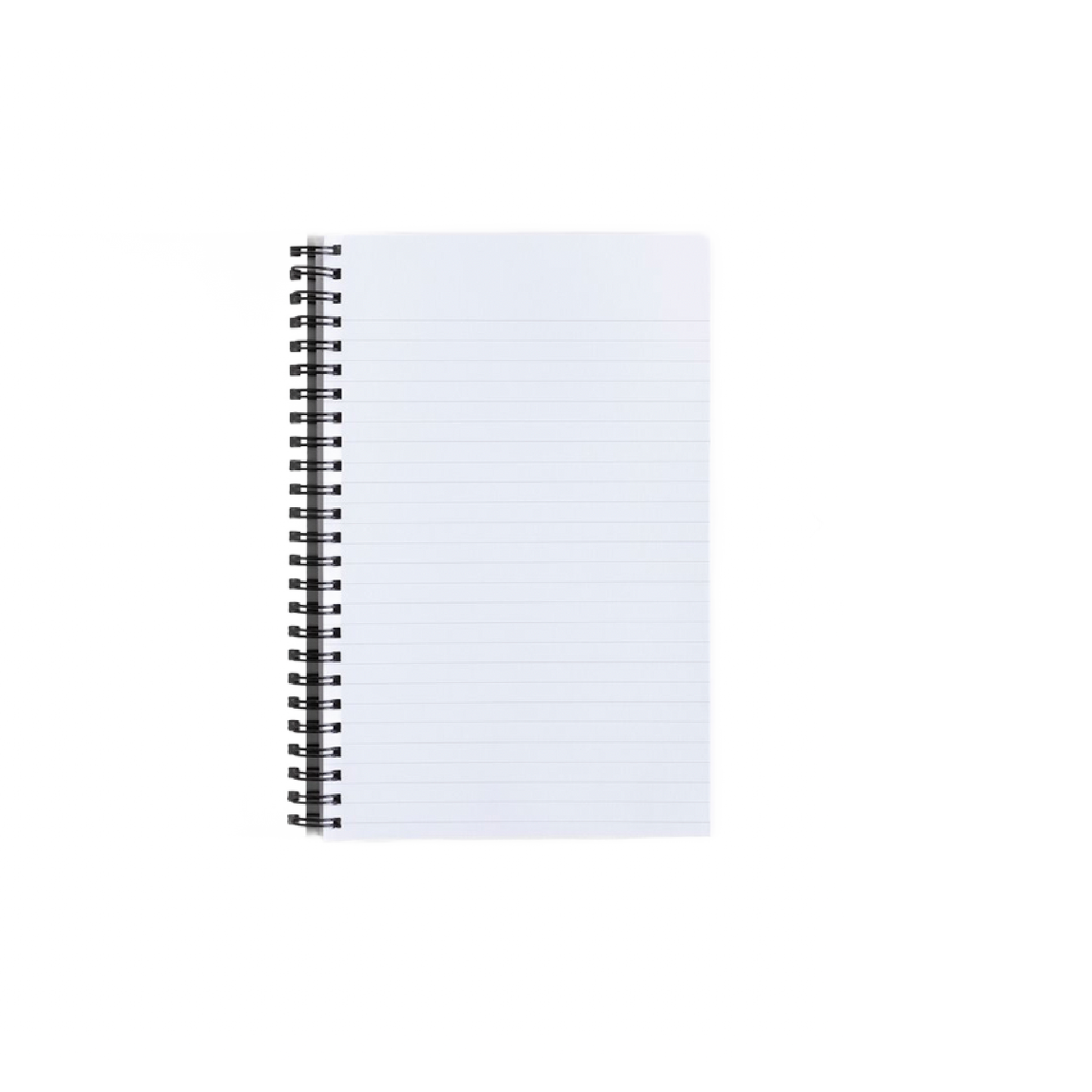 Entrance Look Kitten Notebook